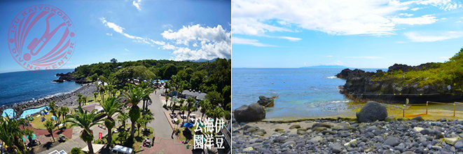 伊豆海洋公園写真